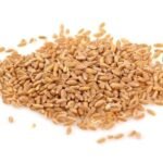 Australian Whole Farro