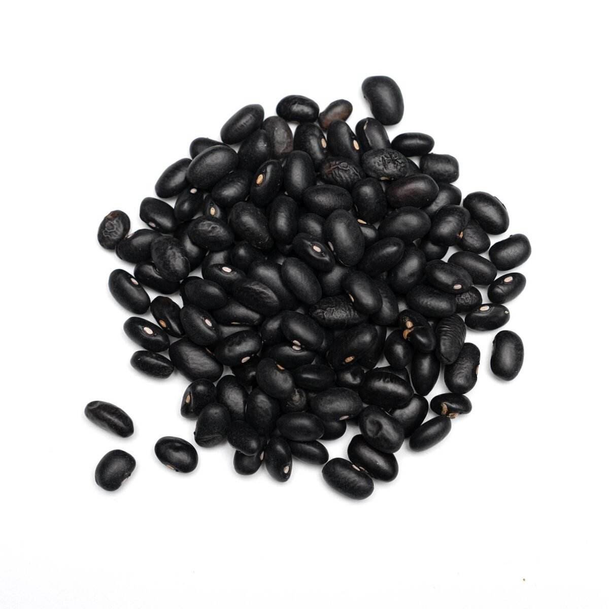Black Turtle Bean - Image 1