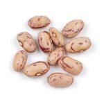 Borlotti Beans