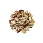 Brazil Nuts