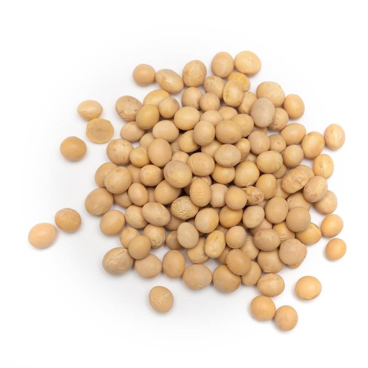 Soya Beans Soya Beans - Image 1