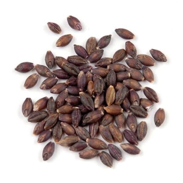 Black Barley
