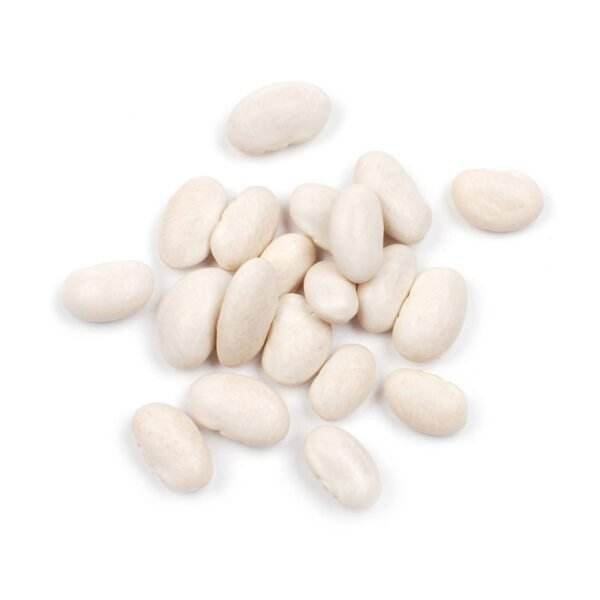 Great northern beans