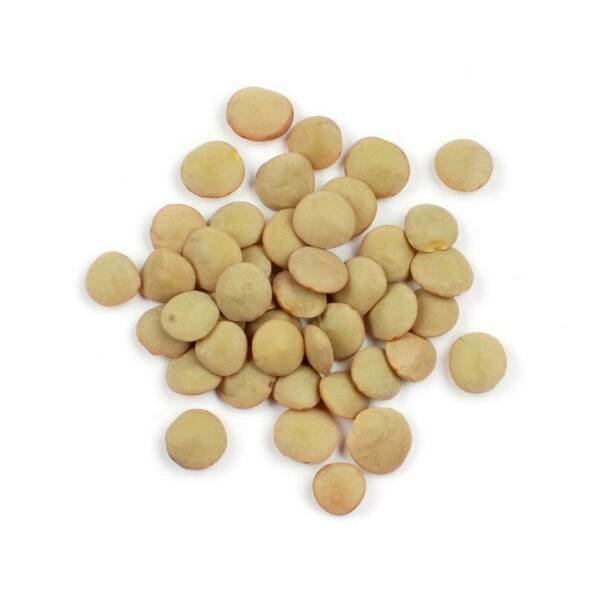 Green Lentils