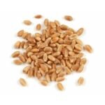 Hulled Wheat