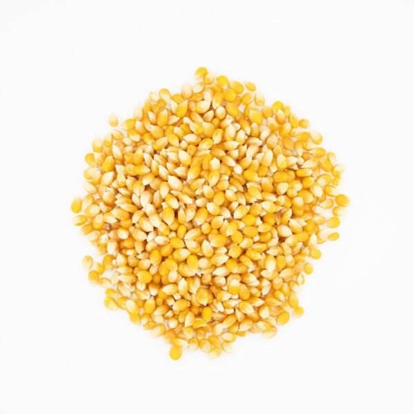Australian popping corn