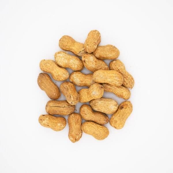 Australian Roasted Peanuts in Shell