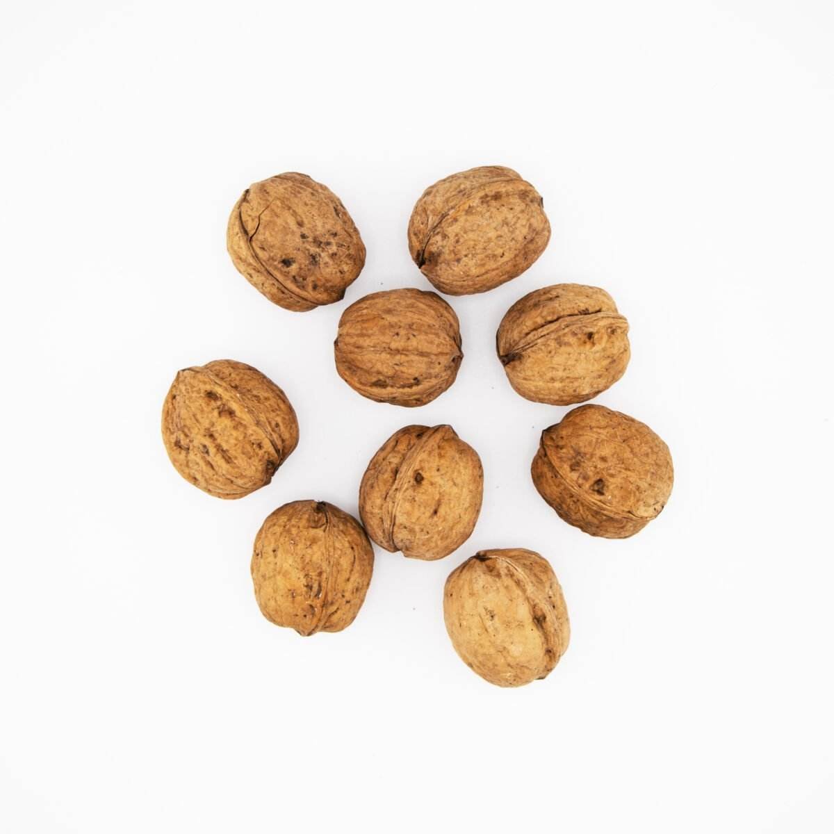 WALNUT IN SHELL Australian Walnuts in Shell - Image 1