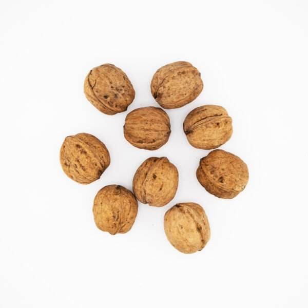 Australian Walnuts in Shell