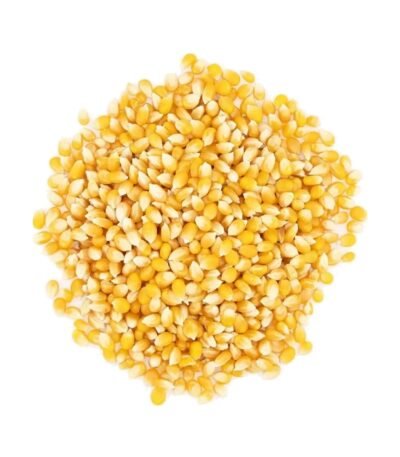 Australian popping corn
