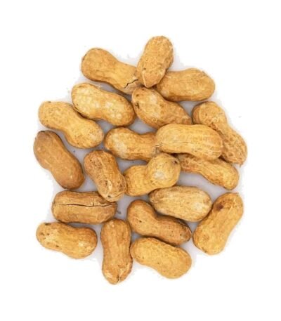 Australian Roasted Peanuts in Shell