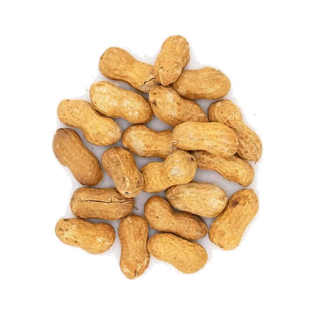 Australian Roasted Peanuts in Shell Australian Roasted Peanuts in Shell