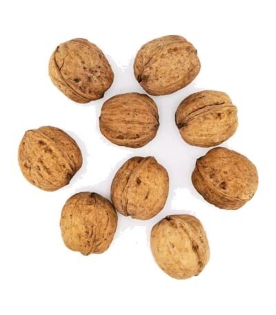 Australian Walnuts in Shell