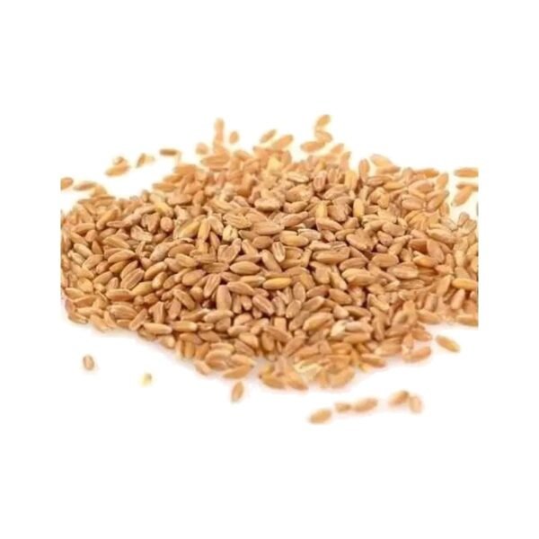 Australian Whole Farro