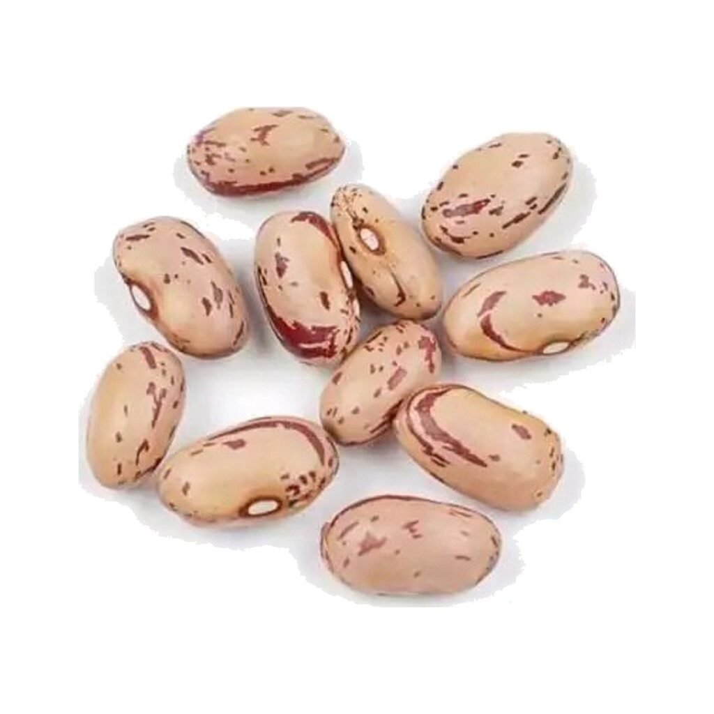 Borlotti Beans