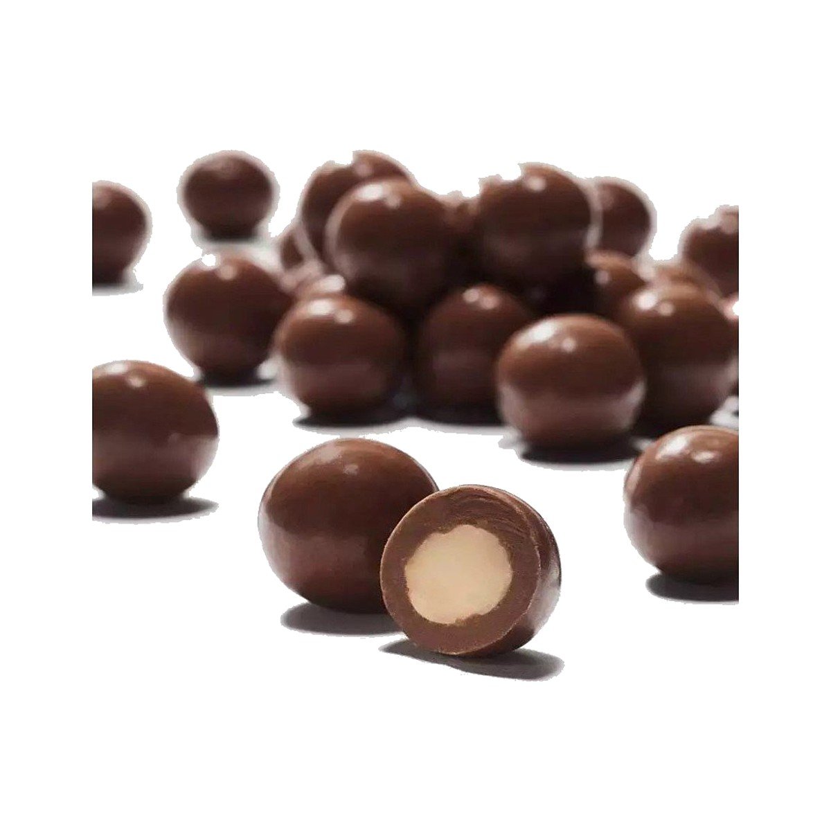 Chocolate Macadamia Chocolate Macadamia