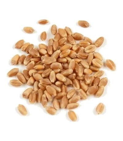 Hulled Wheat