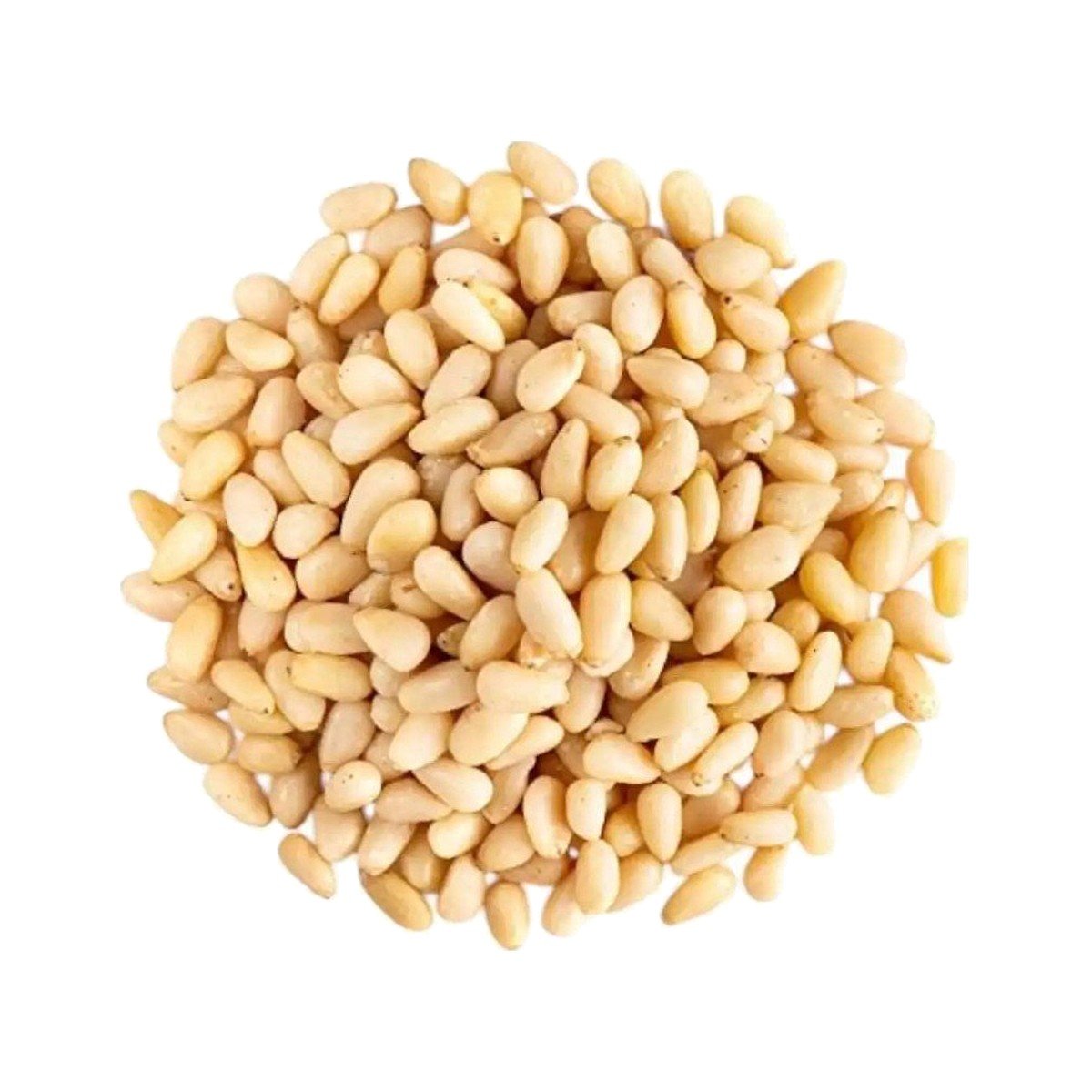 Pine Nuts Pine Nuts