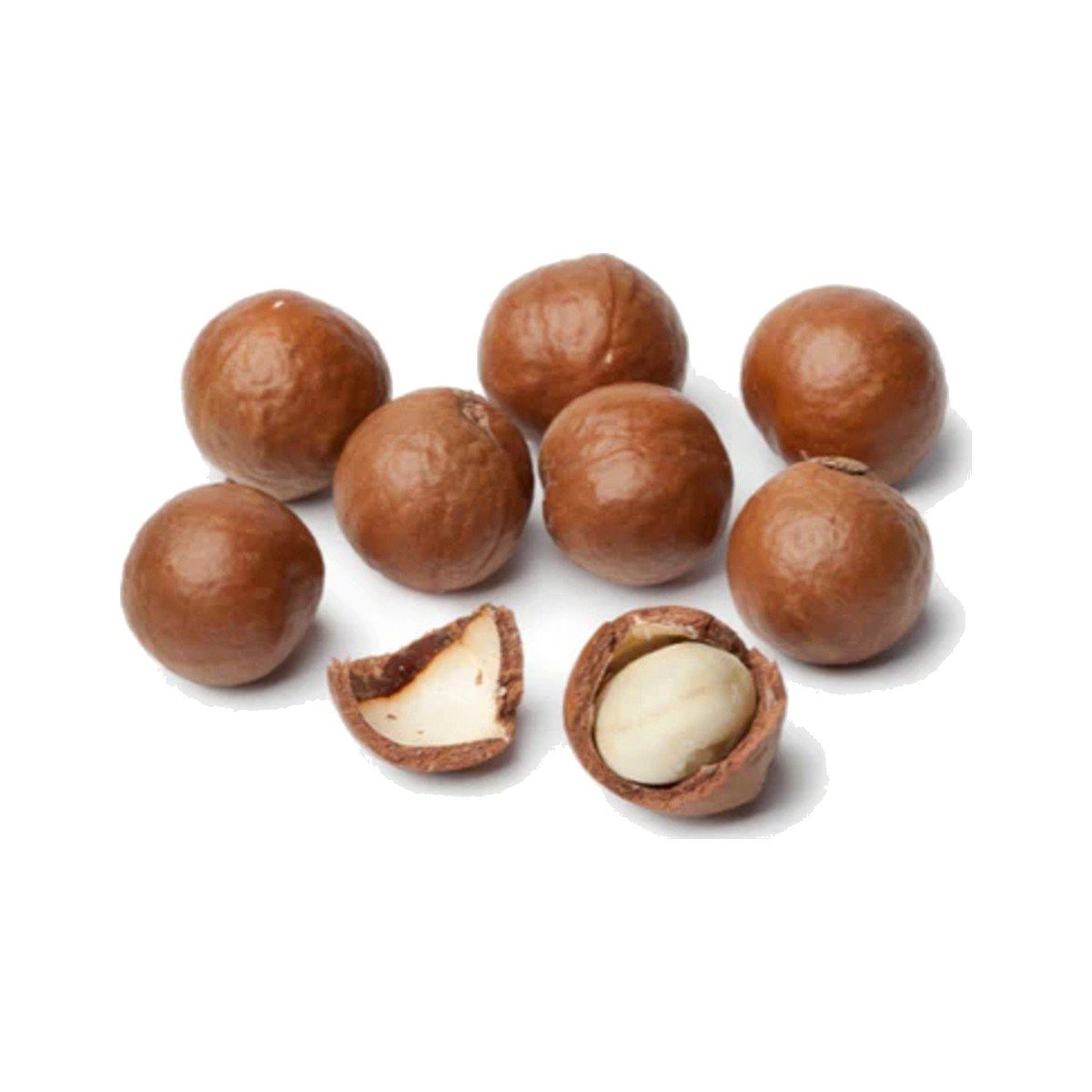 Raw Macadamia in Shell Raw Macadamia in Shell
