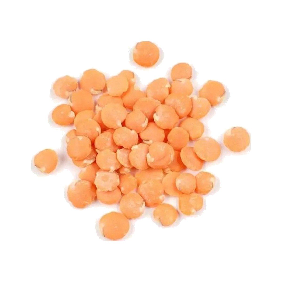 Red Whole Lentils Red Whole Lentils