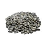 Salted Sunflower Seeds in Shell