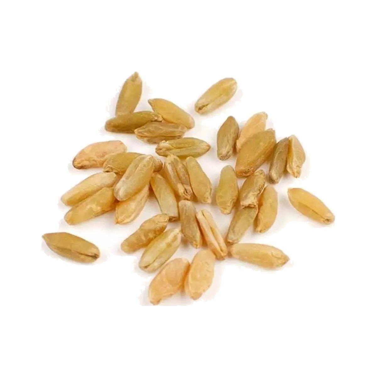 Whole grain freekeh Whole grain freekeh